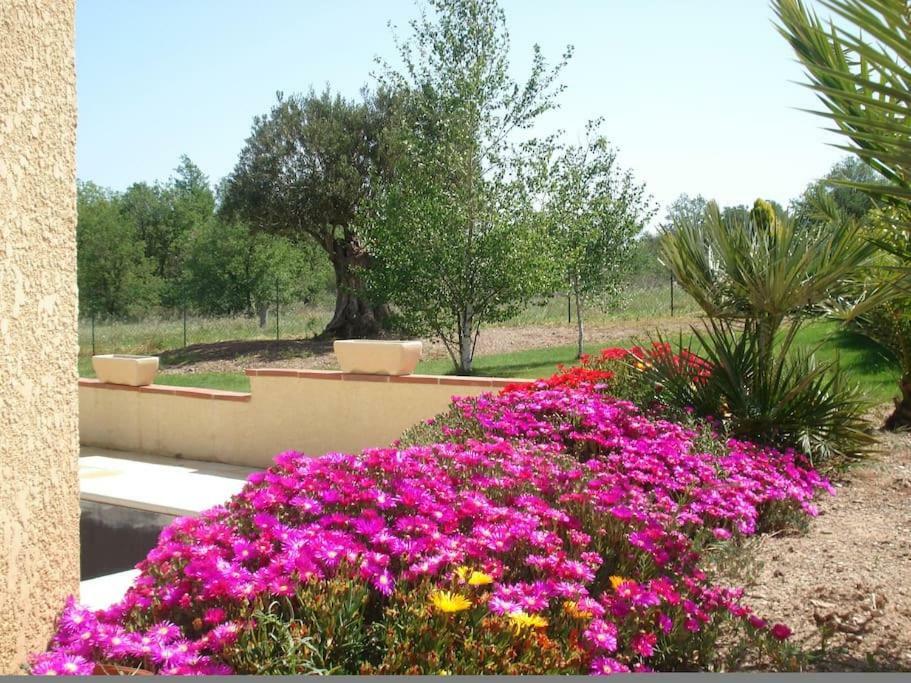 Castelnou Gite Le Chalet Des Milles Et Un Chemins מראה חיצוני תמונה