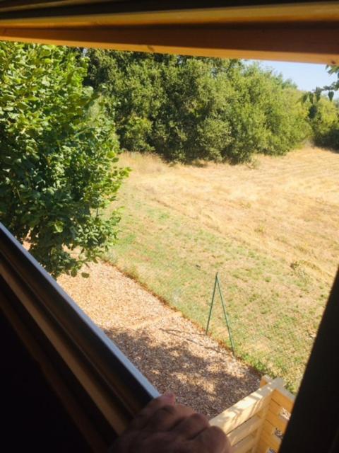 Castelnou Gite Le Chalet Des Milles Et Un Chemins מראה חיצוני תמונה