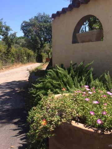 Castelnou Gite Le Chalet Des Milles Et Un Chemins מראה חיצוני תמונה